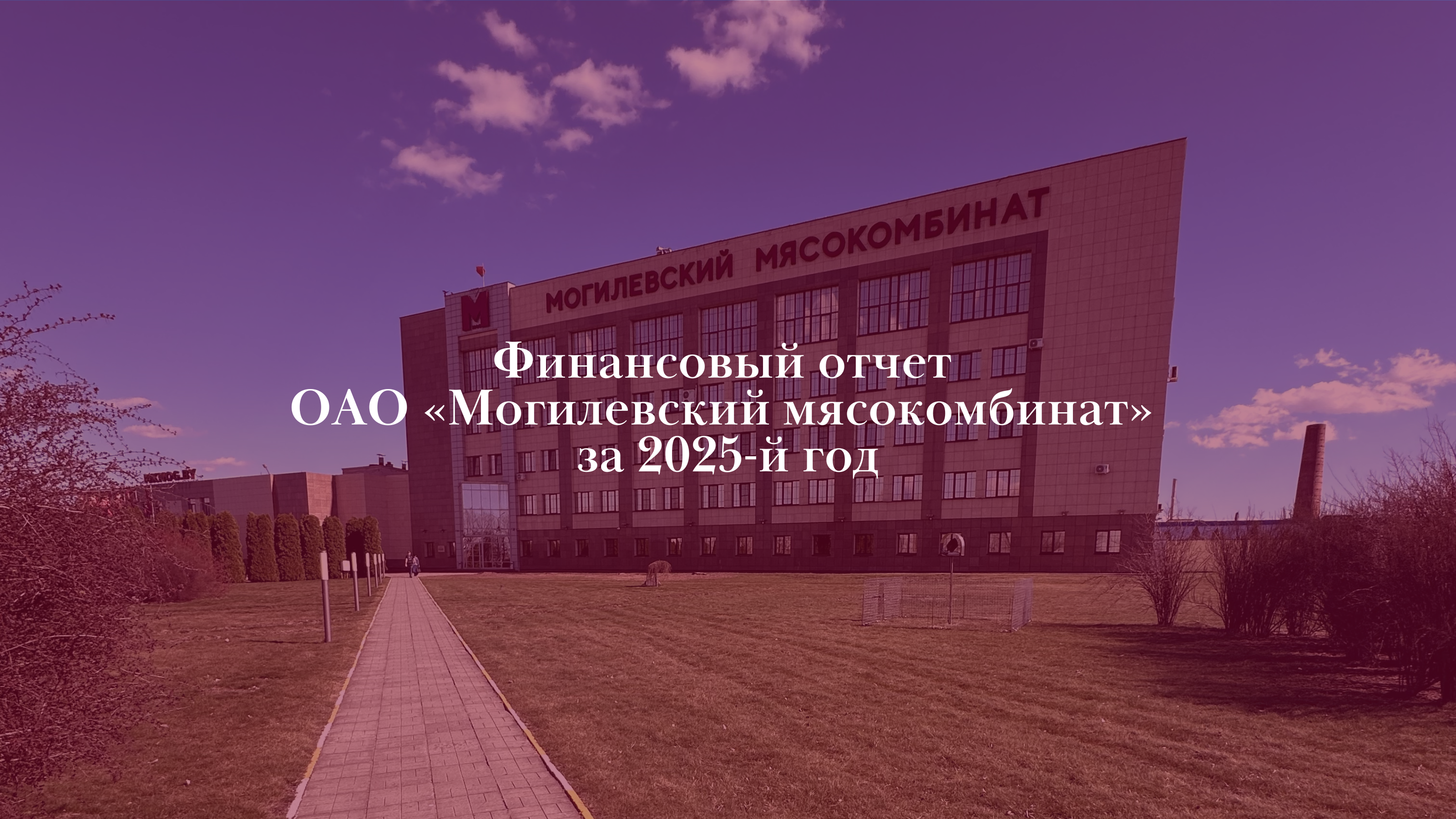 Финансовый отчет ОАО "Могилевский мясокомбинат" за 2025-й год